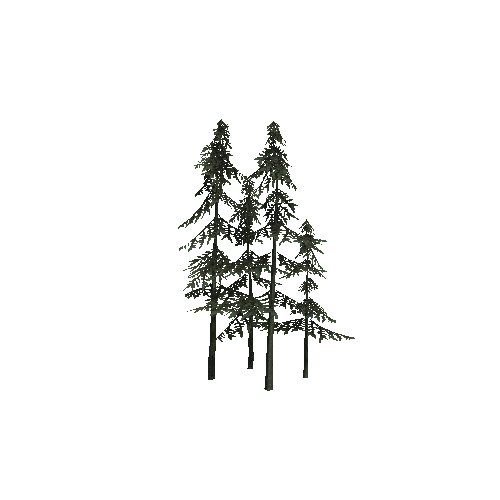 ConiferTreesGroup02LOD2 (TVE Backup)